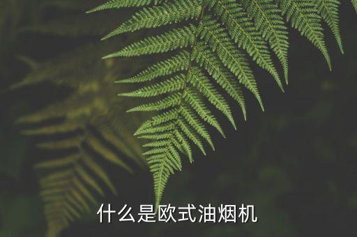 歐式抽油煙機(jī)，什么是歐式抽油煙機(jī)