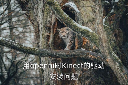 OpenNI，用openni時Kinect的驅(qū)動安裝問題