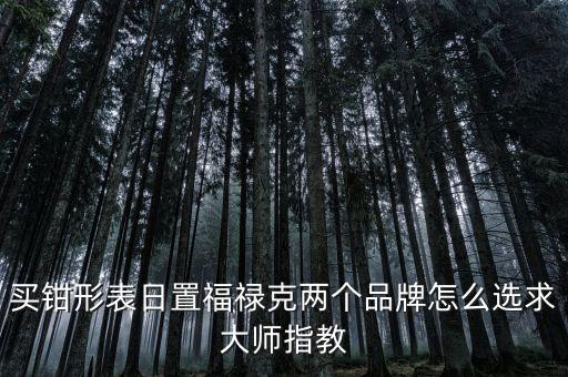 買鉗形表日置福祿克兩個(gè)品牌怎么選求大師指教