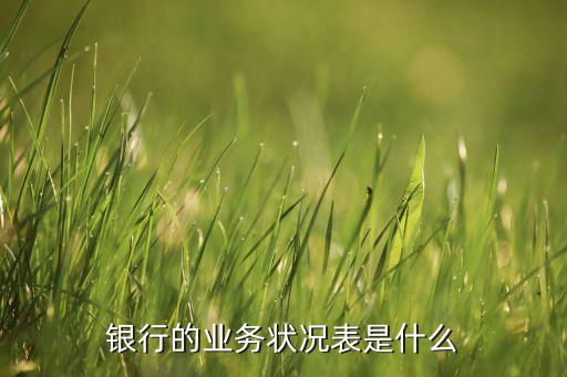 銀行的業(yè)務(wù)狀況表是什么