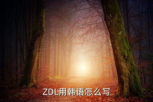 zdl，ZDL用韓語(yǔ)怎么寫(xiě)