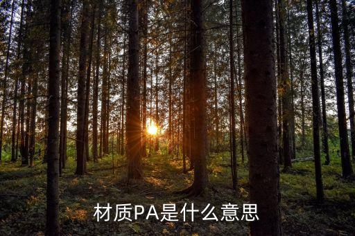 材質(zhì)PA是什么意思