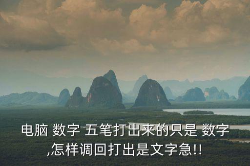 電腦 數(shù)字 五筆打出來的只是 數(shù)字,怎樣調(diào)回打出是文字急!!