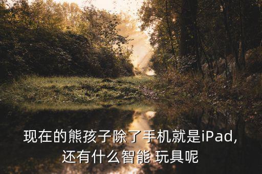 現(xiàn)在的熊孩子除了手機就是iPad,還有什么智能 玩具呢