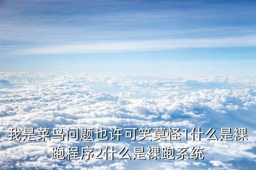 我是菜鳥問題也許可笑莫怪1什么是裸跑程序2什么是裸跑系統(tǒng)