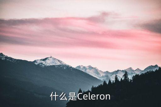 celeron，celeron是什么