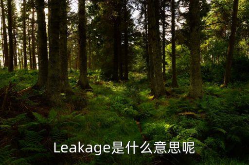 Leakage是什么意思呢