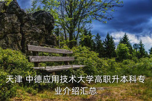 中德專升本自動化專業(yè)課難嗎,天津中德專升本專業(yè)課考哪些