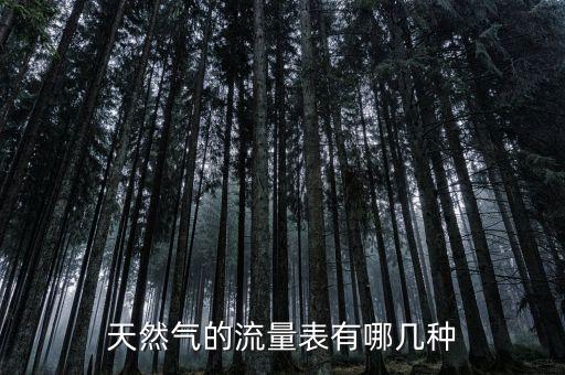 天然氣的流量表有哪幾種