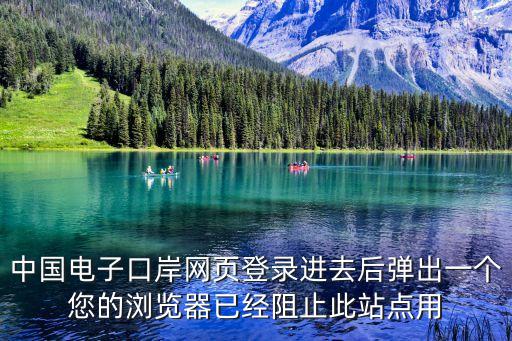 中國(guó)電子口岸首頁(yè)，我登錄電子口岸主頁(yè)點(diǎn)擊進(jìn)入中國(guó)電子口岸執(zhí)法系統(tǒng)輸入密碼點(diǎn)
