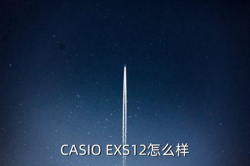 CASIO EXS12怎么樣