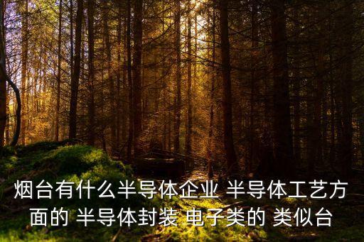 煙臺(tái)有什么半導(dǎo)體企業(yè) 半導(dǎo)體工藝方面的 半導(dǎo)體封裝 電子類的 類似臺(tái)