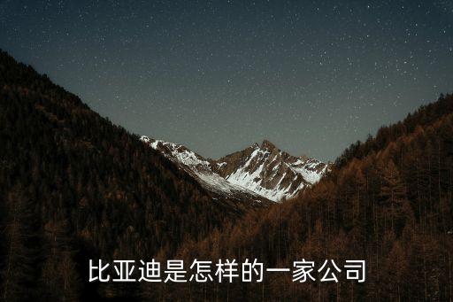 比亞迪集團簡介，比亞迪總公司在哪