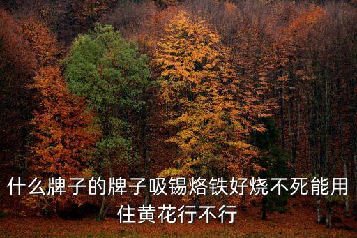 電烙鐵品牌，什么牌子的牌子吸錫烙鐵好燒不死能用住黃花行不行