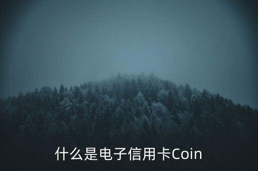 Coin卡，中信銀行單幣信用卡是什么卡