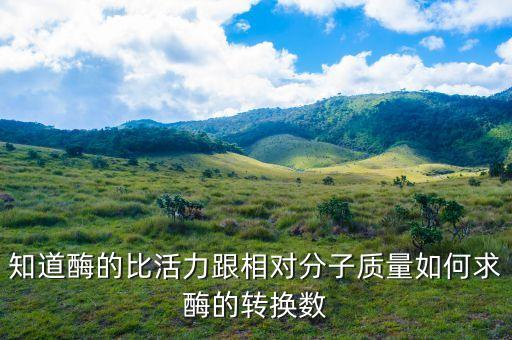 知道酶的比活力跟相對分子質量如何求酶的轉換數(shù)