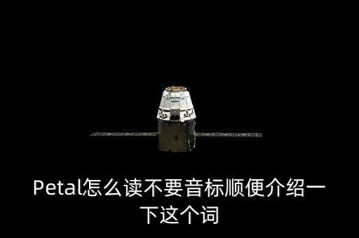 Petal怎么讀不要音標(biāo)順便介紹一下這個(gè)詞