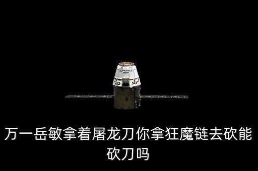 岳敏，岳敏是那本小說的人物