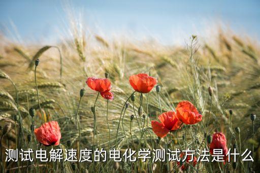 測(cè)試電解速度的電化學(xué)測(cè)試方法是什么