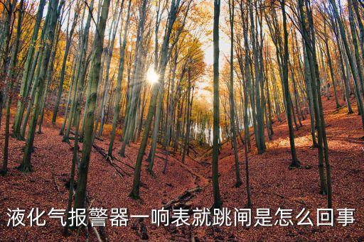 液化氣報警器一響表就跳閘是怎么回事