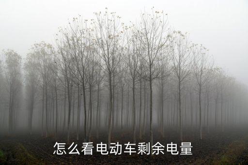 怎么看電動車剩余電量