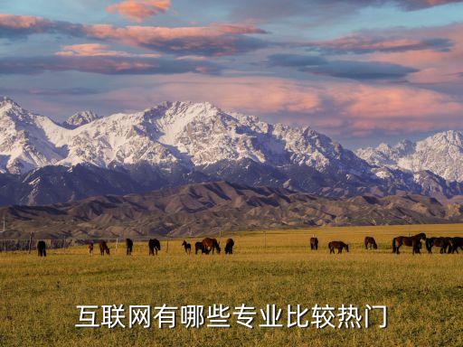 互聯(lián)網(wǎng)有哪些專業(yè)比較熱門
