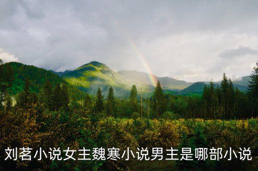劉茗小說女主魏寒小說男主是哪部小說