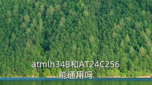 atmlh348和AT24C256能通用嗎