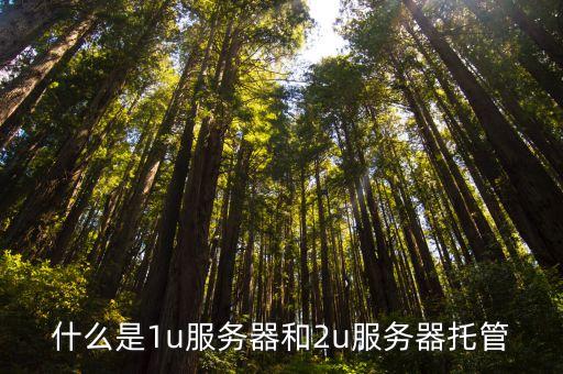 1u服務(wù)器，什么是1u服務(wù)器和2u服務(wù)器托管