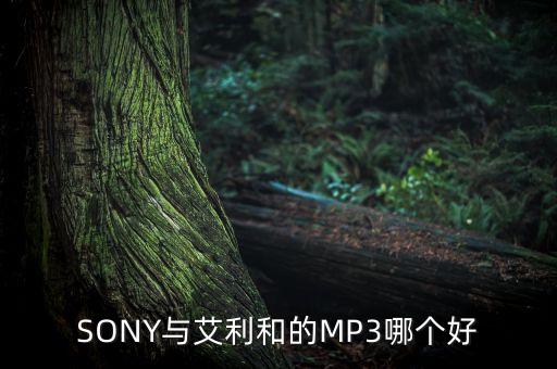 SONY與艾利和的MP3哪個好