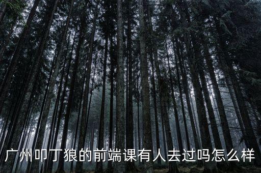 叩丁狼，你們知道叩丁狼的前端課程怎么樣嗎