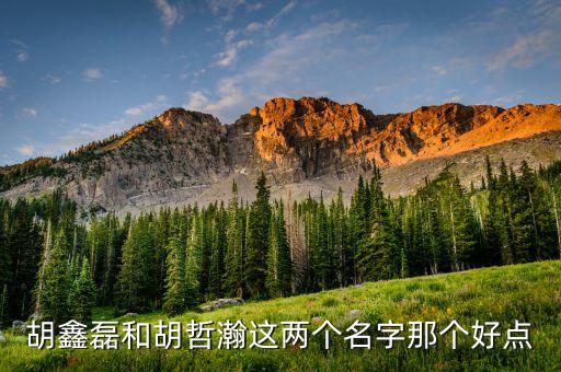 胡鑫磊和胡哲瀚這兩個名字那個好點