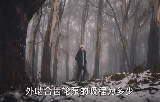 外嚙合齒輪泵，外嚙合齒輪泵的最高工作轉(zhuǎn)速