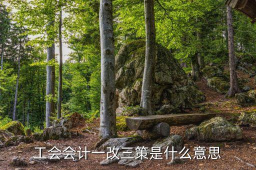 工會會計一改三策是什么意思