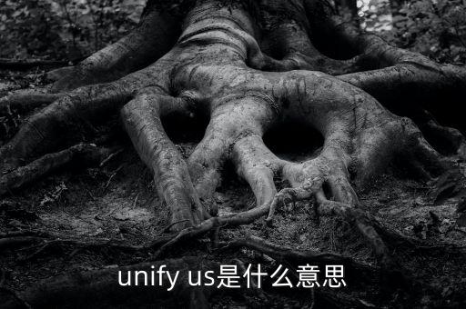 unify us是什么意思