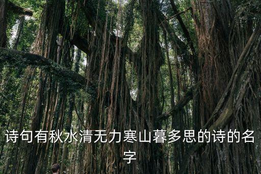 詩句有秋水清無力寒山暮多思的詩的名字
