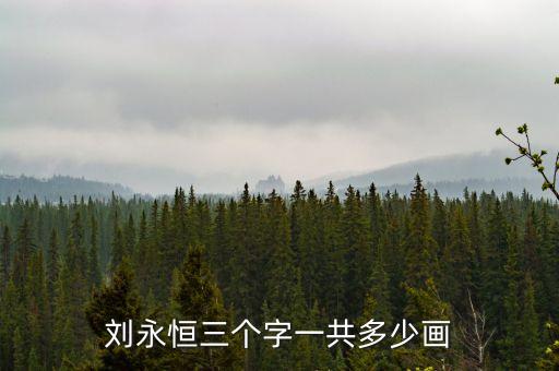 劉永恒三個(gè)字一共多少畫(huà)