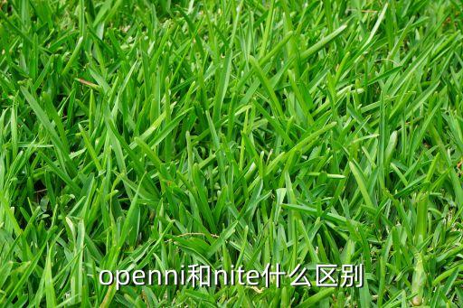 openni和nite什么區(qū)別
