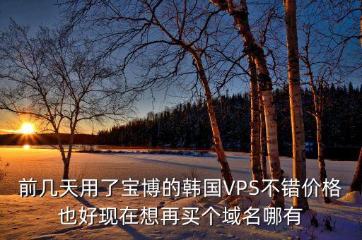 前幾天用了寶博的韓國VPS不錯價格也好現(xiàn)在想再買個域名哪有