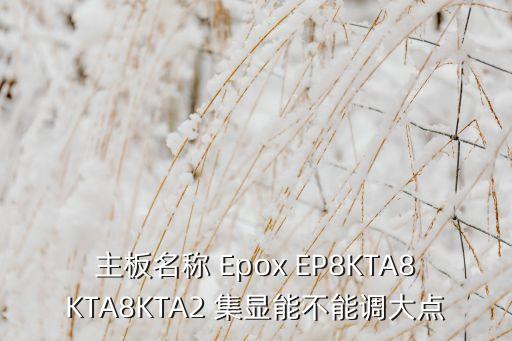 主板名稱 Epox EP8KTA8KTA8KTA2 集顯能不能調(diào)大點