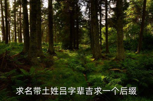 求名帶土姓呂字輩吉求一個后綴