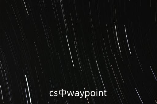 cs中waypoint