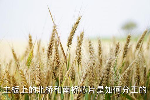 主板上的北橋和南橋芯片是如何分工的