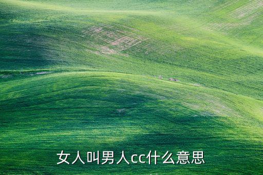 cc什么意思，it行業(yè)里cc是什么意思