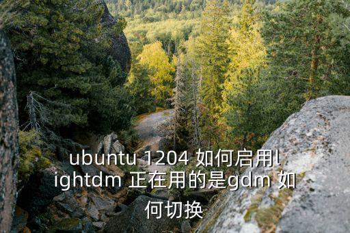 ubuntu 1204 如何啟用lightdm 正在用的是gdm 如何切換