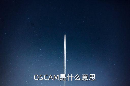 OSCAM是什么意思