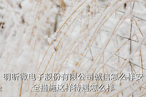 明昕微電子股份有限公司誠信怎么樣安全措施這樣待遇怎么樣