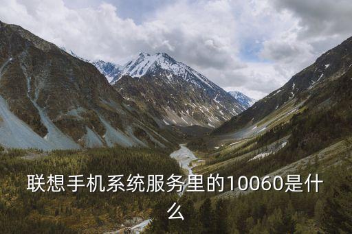 聯(lián)想手機(jī)系統(tǒng)服務(wù)里的10060是什么
