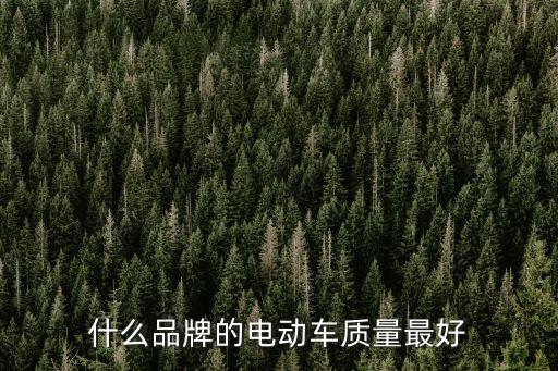 什么品牌的電動(dòng)車質(zhì)量最好