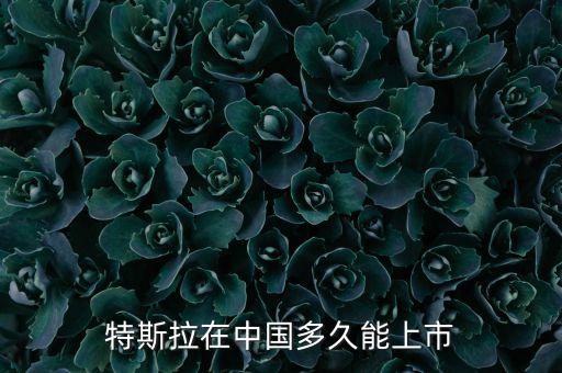 特斯拉在中國(guó)多久能上市